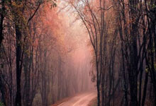 紧张时刻加时赛冠军之路岌岌可危