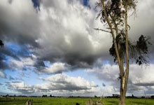 意大利横扫瑞士，锁定欧国联半决赛席位