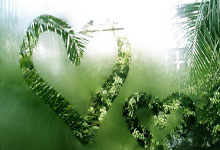 拜仁备战欧冠，冲击夺冠巅峰