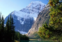 乌迪内斯主场击败帕尔马，保级路漫漫