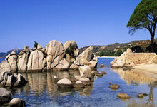 摩洛哥代表团斩获奥运多面奖牌