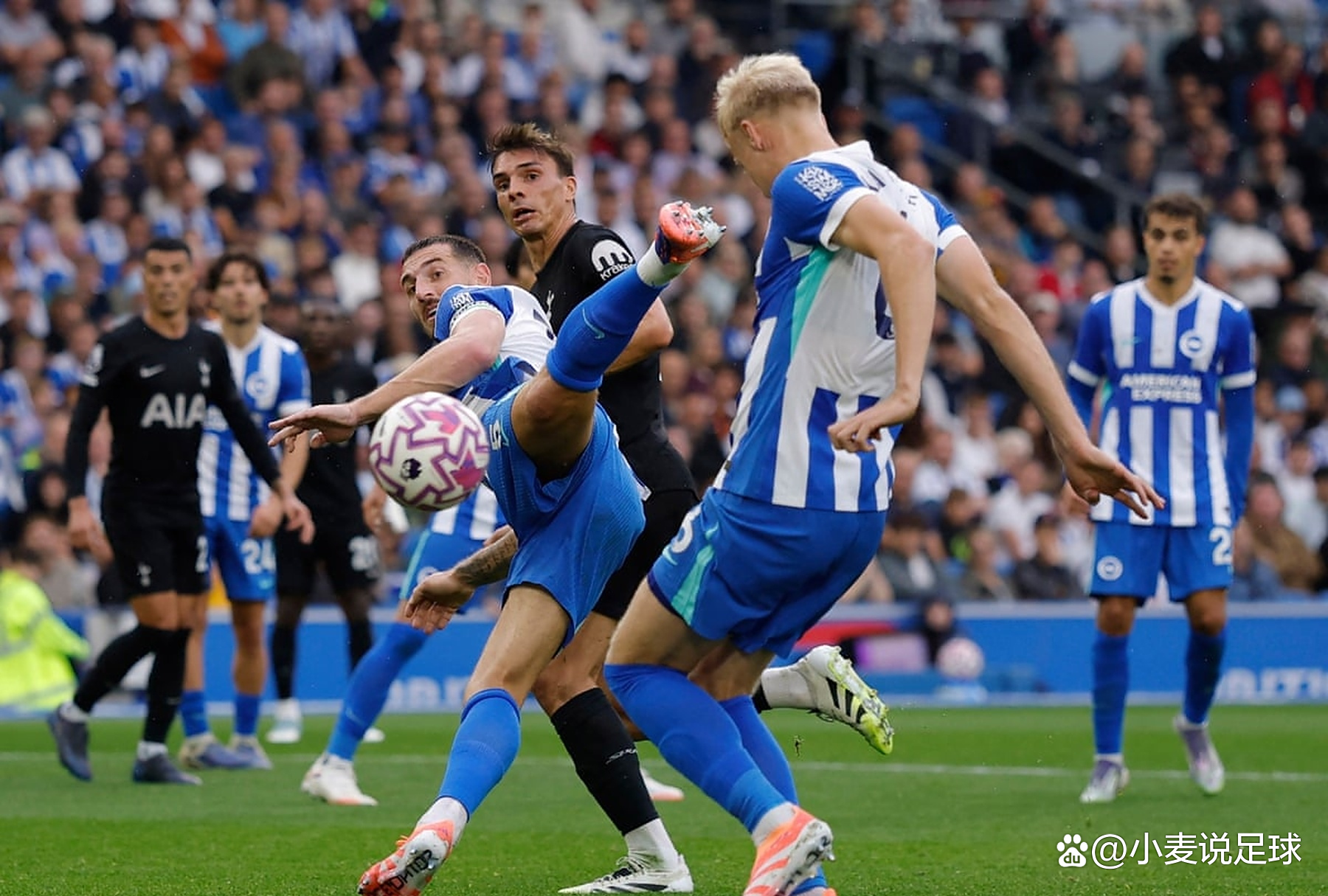 包含热刺客场4-1大胜布莱顿，延续连胜势头的词条